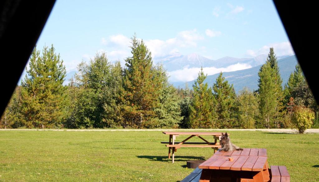 Twin Peaks Resort Valemount Buitenkant foto